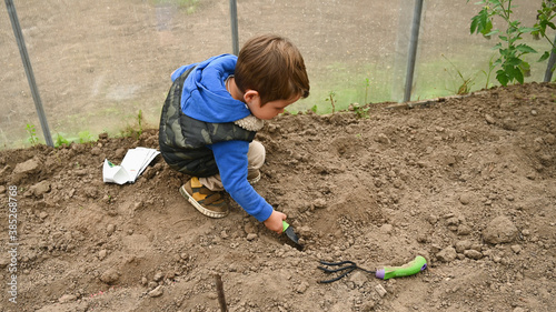 The child is digging in the greenhouse in the greenhouse © SYARGEENKA