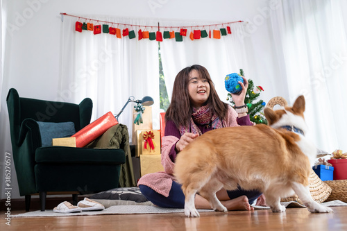 Happy smile woman sitting plays a ball with her lovely brown corgi dog in the living room which decorated with the Christmas theme and many gifts. Merry Christmas and happy new year winter holidays. © bung