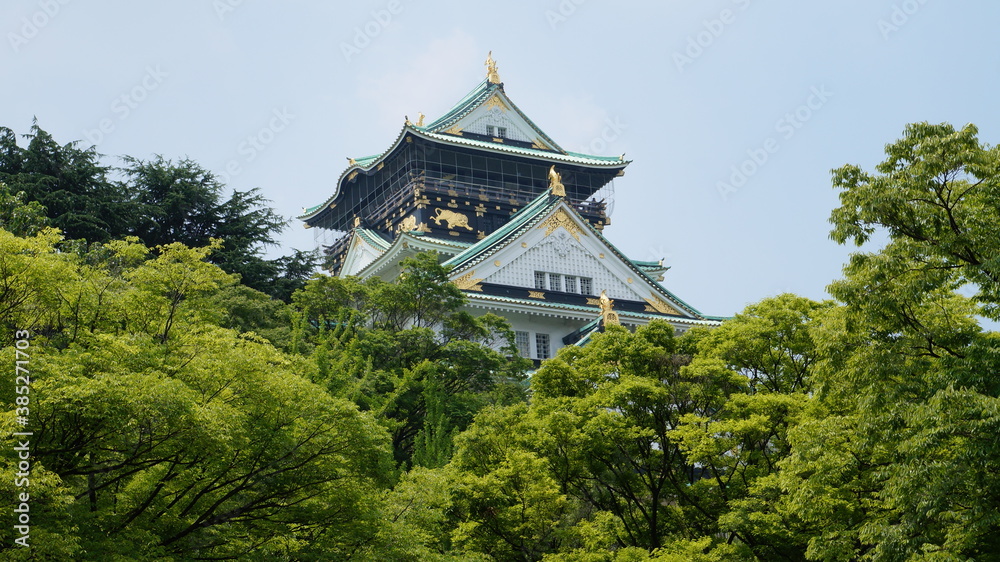 Japanese temple garden with moss, maple trees, gates and bridges Japanese temple garden with moss, maple trees, gates and bridges