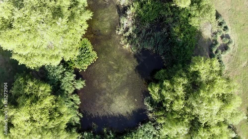 Aerial view of a green pond with bushes and green water lilies. Clip. Top view of summer natural landscape with green moss, vegetation on small lake.
