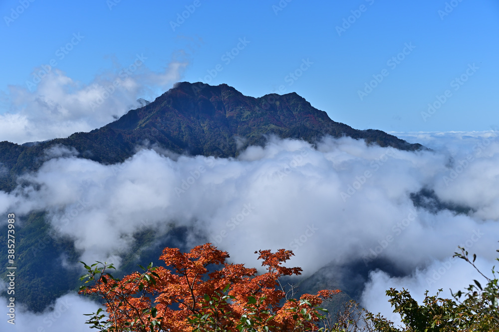 Fototapeta premium 四国の名山、石鎚山の紅葉