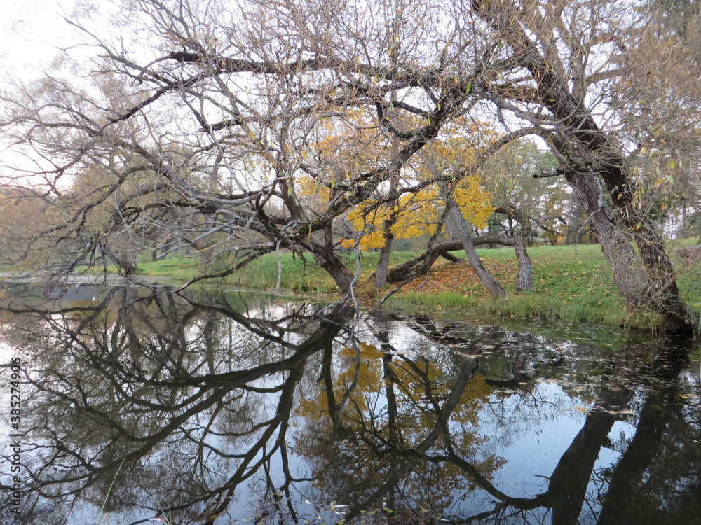 Autumn park landscape. Trees around water. Bare branches and blue sky reflecting in pond. Seasonal countryside photo. Outdoor forest image. Autumn park landscape. Trees around water. Bare branches and blue sky reflecting in pond. Seasonal countryside photo. Outdoor forest image.