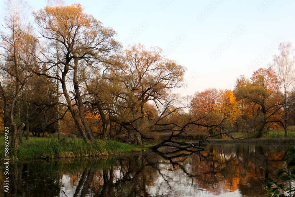 Autumn beautiful landscape. Golden trees around lake. Trees reflecting in water. Sunset time. Seasonal countryside photo. Autumn beautiful landscape. Golden trees around lake. Trees reflecting in water. Sunset time. Seasonal countryside photo.