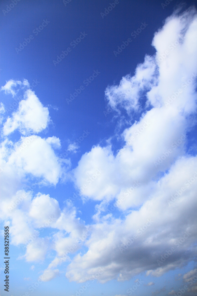 Obraz premium 青空の雲