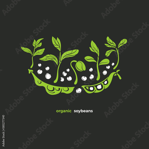 Soy symbol. Vector green card. Healthy ingredient