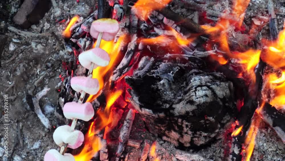Roasting marshmallows over a fire in the forest. Cooking traditional delicacy, delicious sweetness, close-up Roasting marshmallows over a fire in the forest. Cooking traditional delicacy, delicious sweetness, close-up