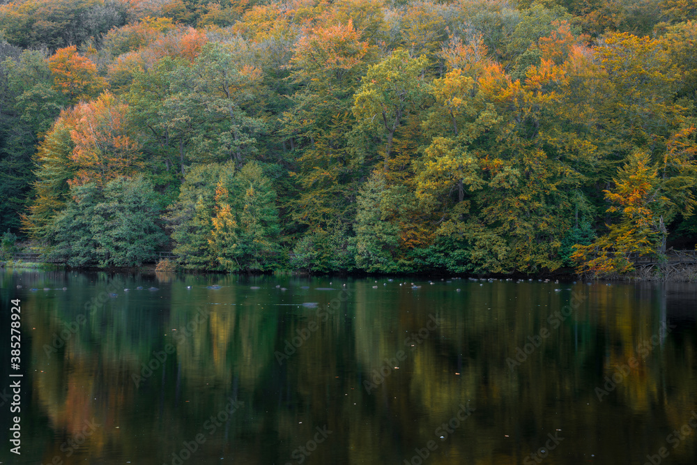 Autumn colors with reflection in the lake. Autumn colors with reflection in the lake.
