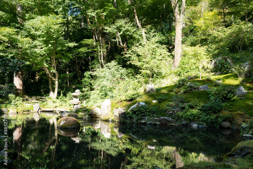 A beautiful stream in an old-fashioned Japanese garden A beautiful stream in an old-fashioned Japanese garden