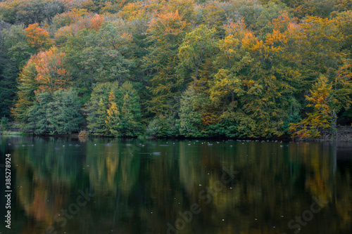Fototapeta Naklejka Na Ścianę i Meble -  Autumn colors with reflection in the lake.