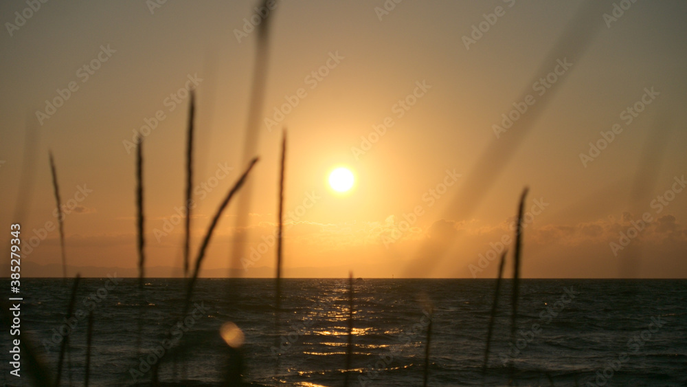 sunset on the  sea
