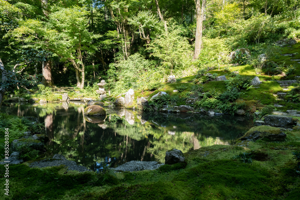 A Japanese garden with a mysterious atmosphere surrounded by moss A Japanese garden with a mysterious atmosphere surrounded by moss