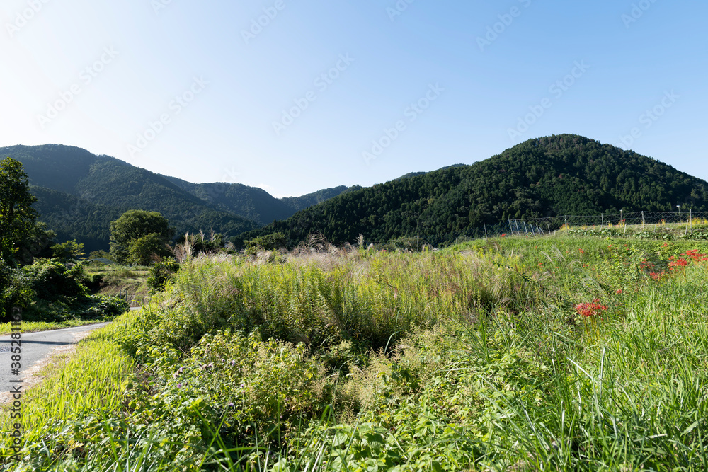 A view of an agricultural village deep in the mountains of Japan, taken on a clear day