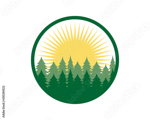 Green forest with sunbeam with circle shape