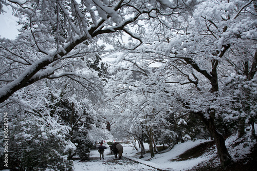 雪の東大寺境内