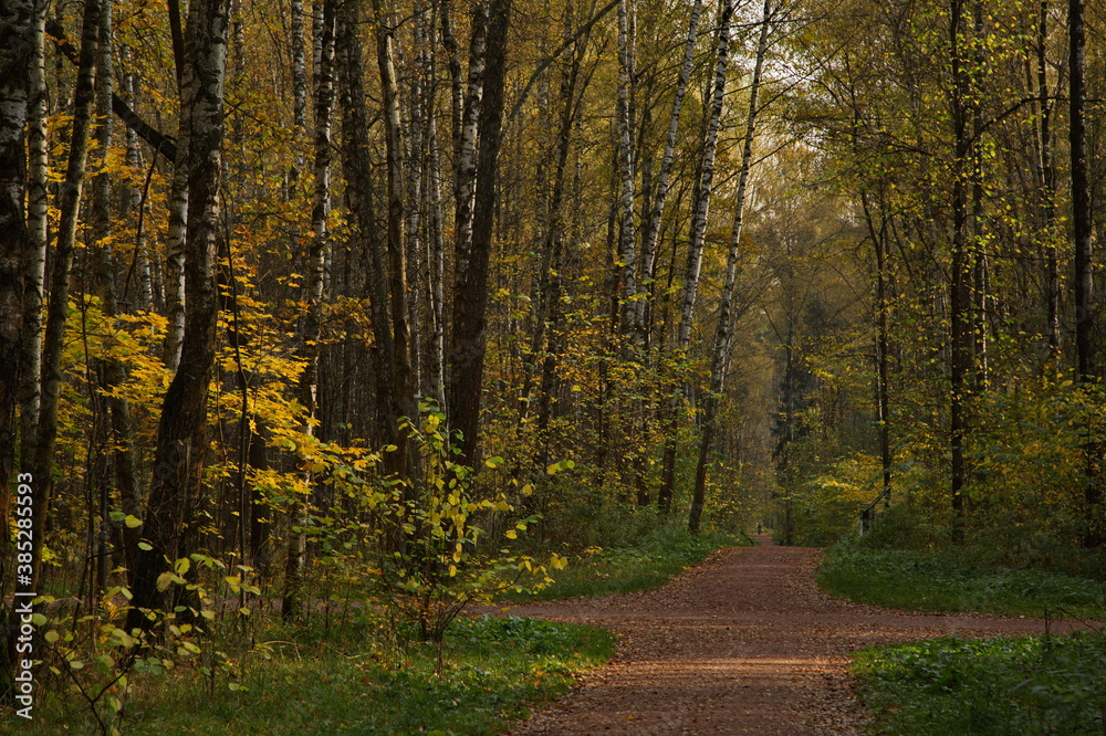 Sunny autumn day in the city park.