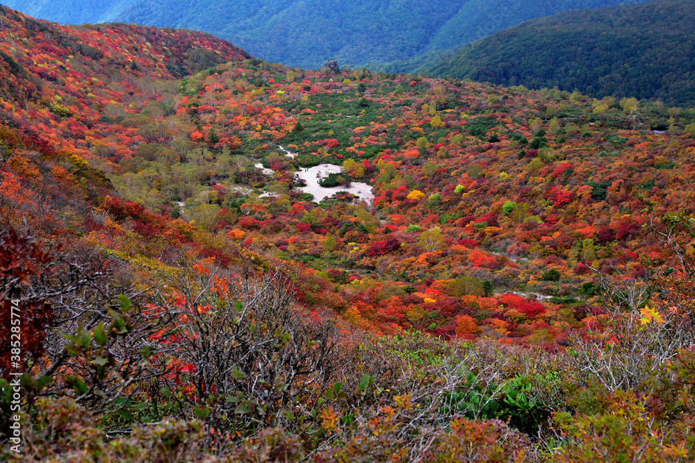 那須岳 姥ヶ平の紅葉stock Photo Adobe Stock