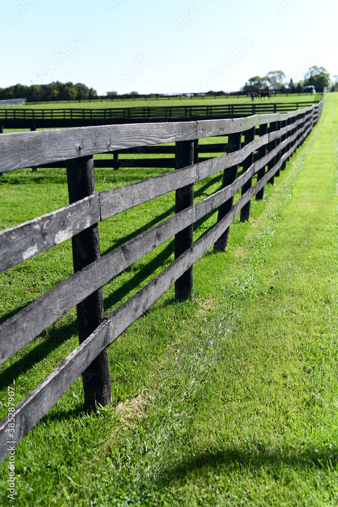 fence line on horse farm