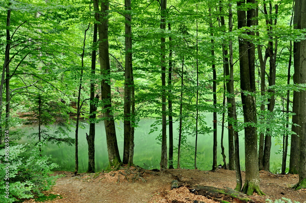 Fototapeta premium Turkusowe jezioro 