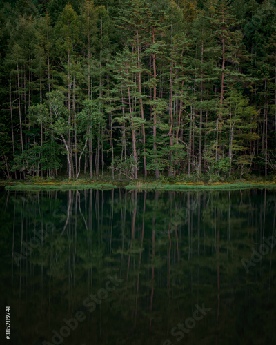 reflection of trees in the water