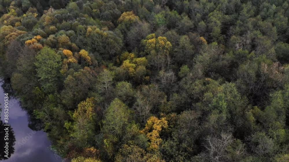 camera flight over a small river passing through the autumn forest. autumn nature. places untouched by man camera flight over a small river passing through the autumn forest. autumn nature. places untouched by man