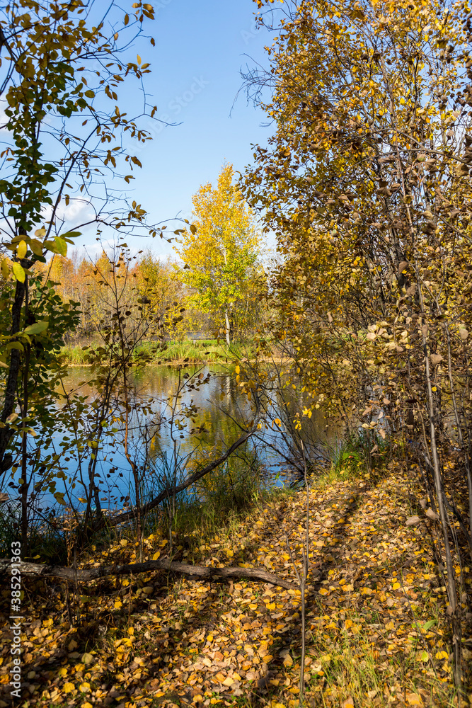 Fototapeta premium September landscape near the forest lake in the autumn day