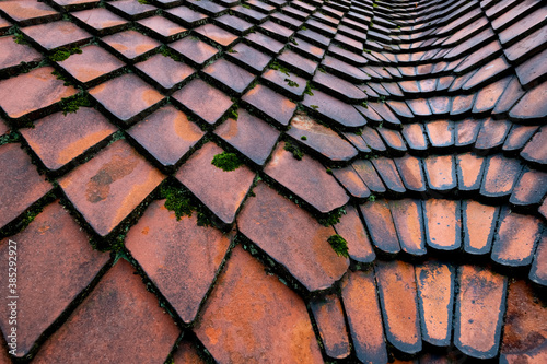 Dachziegel Ton Dach Schutz Denkmal Gebäude Kirche Tradition Handwerk Mittelalter Neuzeit Dachdecker Dachpfannen dreieckig Schindel Moos Wetter Flechten Makro diagonal Hintergrund typisch Deutschland  photo