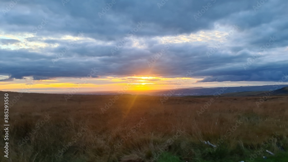 sunset in the field