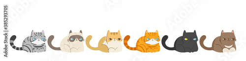 Set of different cats breeds in the same poses, Isolated on white background. Character design. Vector illustration, Cartoon doodle style.