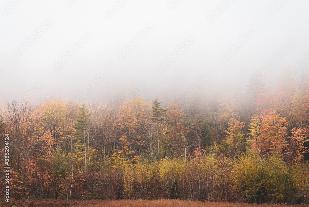 Fototapeta premium Fog and autumn colors in Andover, Maine