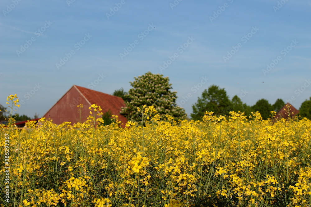 Spring landscape in Germany