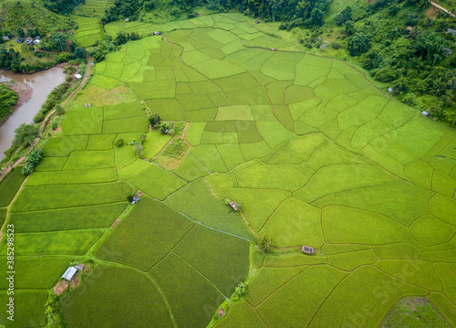 Beautiful aerial view of rice paddy field in Sapan village of Nan province of Thailand in rainy season. Thailand has a strong tradition of rice production.
