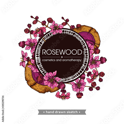 Frame with cut of a Rosewood and twigs with flowers and buds . Detailed hand-drawn sketches, vector botanical illustration.