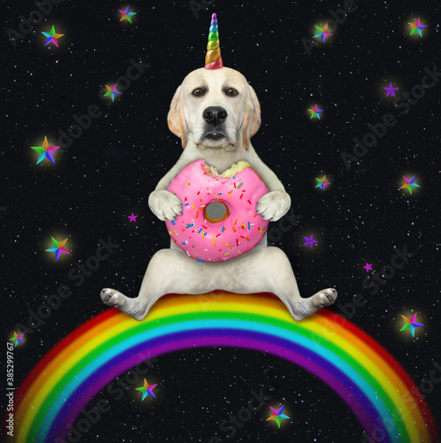 A dog unicorn sits on a rainbow and eats a pink donut.