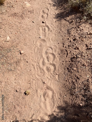 Hoof Prints In The Sand (Horse Shoe Tracks)