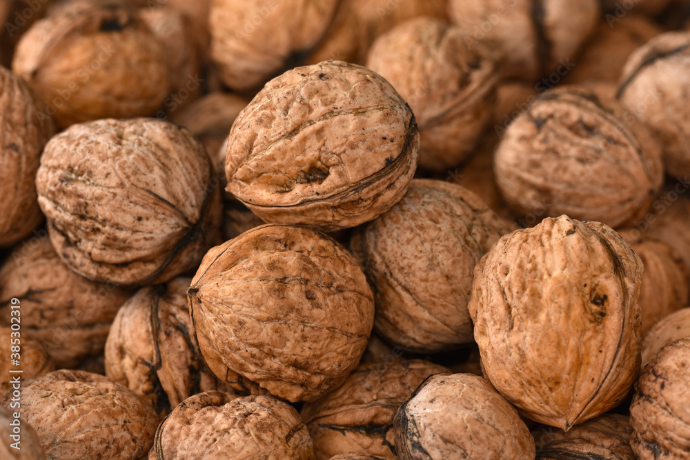 Walnüsse, Juglans regia, walnut Walnüsse, Juglans regia, walnut