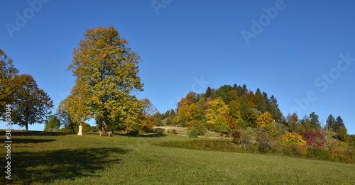 Herbstlandschaft beim Kornb  hl  Schw  bische Alb