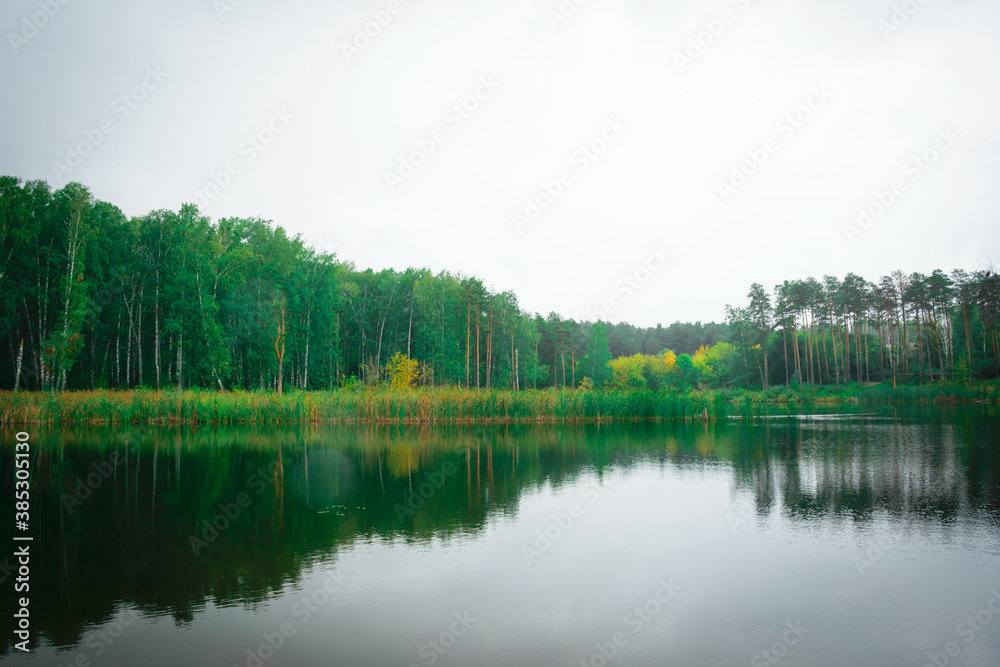 Landscape of a beautiful lake at the edge of the forest Landscape of a beautiful lake at the edge of the forest