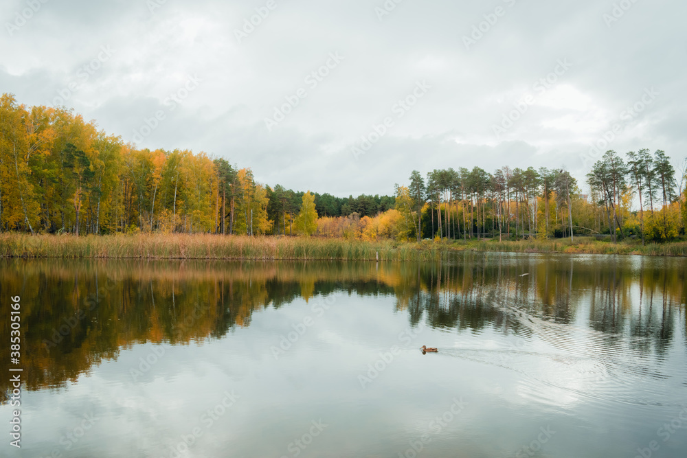 Landscape of a beautiful lake at the edge of the forest	