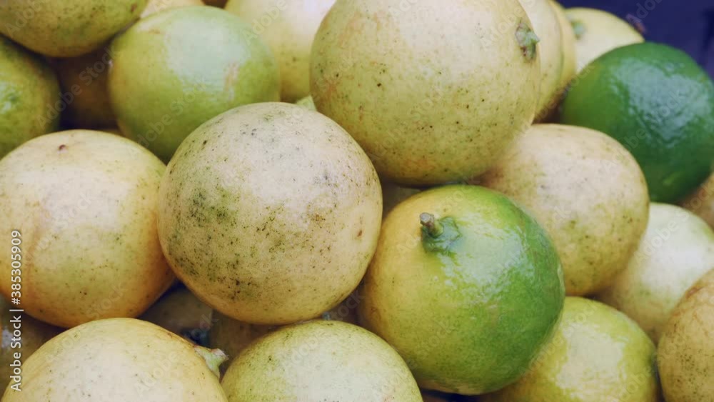 Fresh limes harvesting, green and yellow limes fruit pile in organic farm, close-up. Overripe fruits and food waste can be used for composting the process of turning organic materials into a rich soil Fresh limes harvesting, green and yellow limes fruit pile in organic farm, close-up. Overripe fruits and food waste can be used for composting the process of turning organic materials into a rich soil