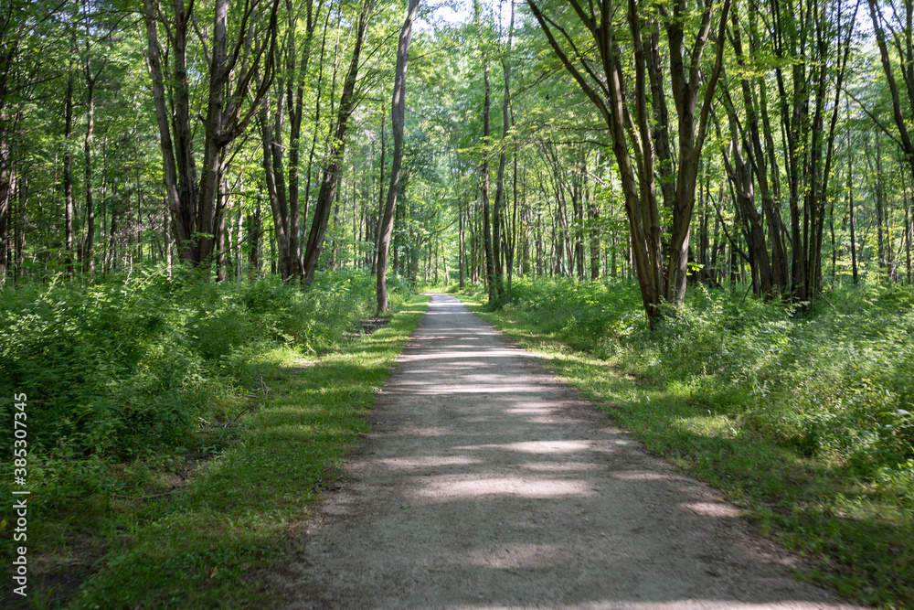 Trails in Mentor headlands beach, beach trails Trails in Mentor headlands beach, beach trails