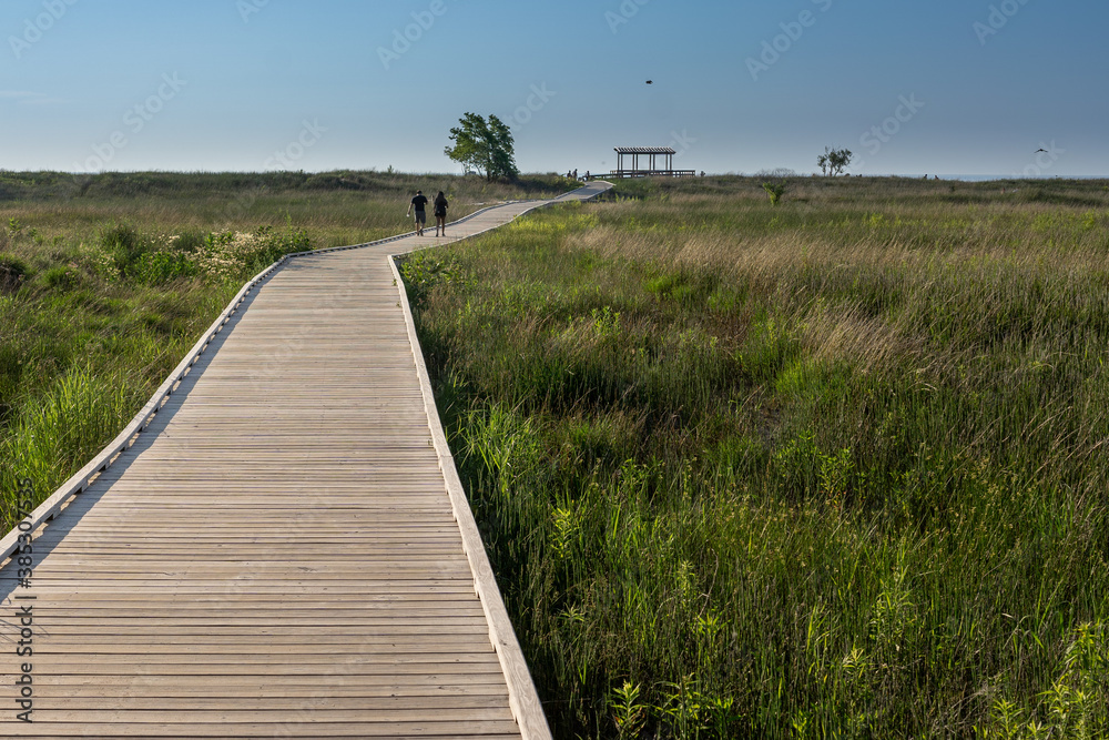 Trails in Mentor headlands beach, beach trails Trails in Mentor headlands beach, beach trails