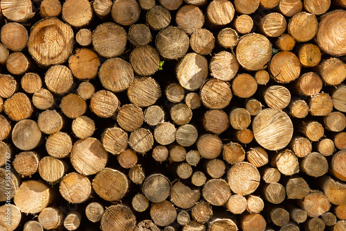 Stacked wooden logs background texture wallpaper with beautiful light effects