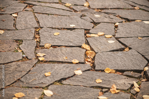 autumn background, texture. stone slabs with yellow orande leaves photo