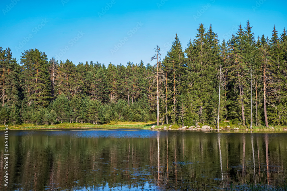 Beauty landscape at mountain lake with calm water, tree reflection and beauty sky