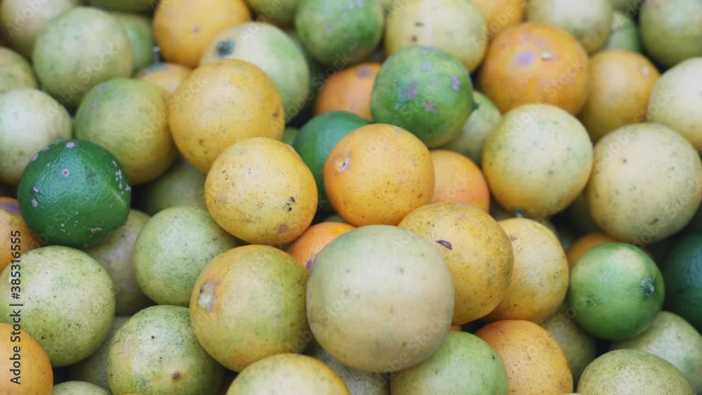 Fresh limes harvesting, green and yellow limes fruit pile in organic