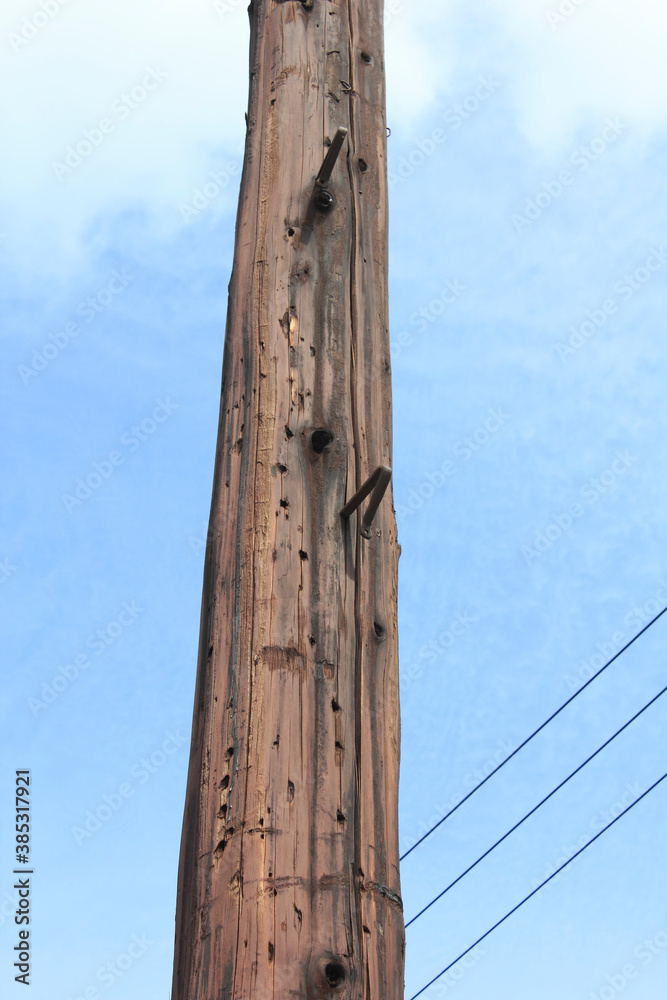 昔の木製の電柱