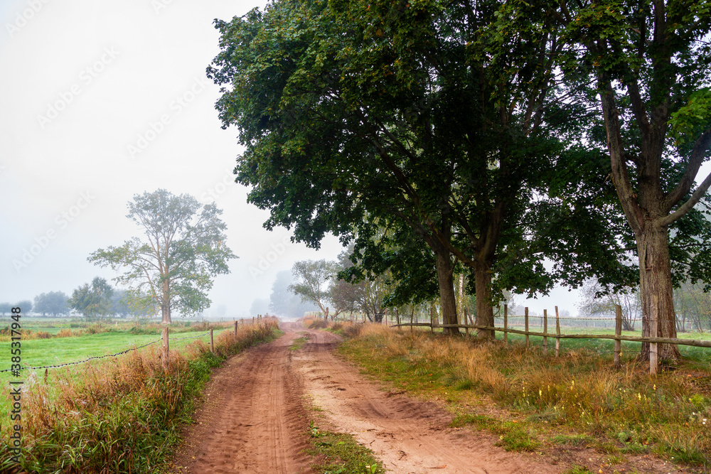 Jesienny krajobraz spowity mgłą , Podlasie, Polska Jesienny krajobraz spowity mgłą , Podlasie, Polska