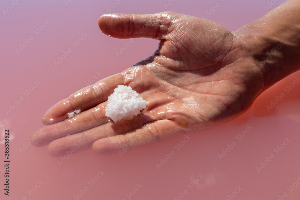 Hand holding white salt crystal in pink vibrant salty water sunny close-up. Spa procedures in natural resort on Syvash, Ukraine Hand holding white salt crystal in pink vibrant salty water sunny close-up. Spa procedures in natural resort on Syvash, Ukraine