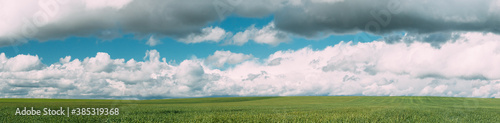 Countryside Rural Green Wheat Field Meadow Landscape In Summer Sunny Day. Scenic Sky With Clouds On Horizon. Panorama