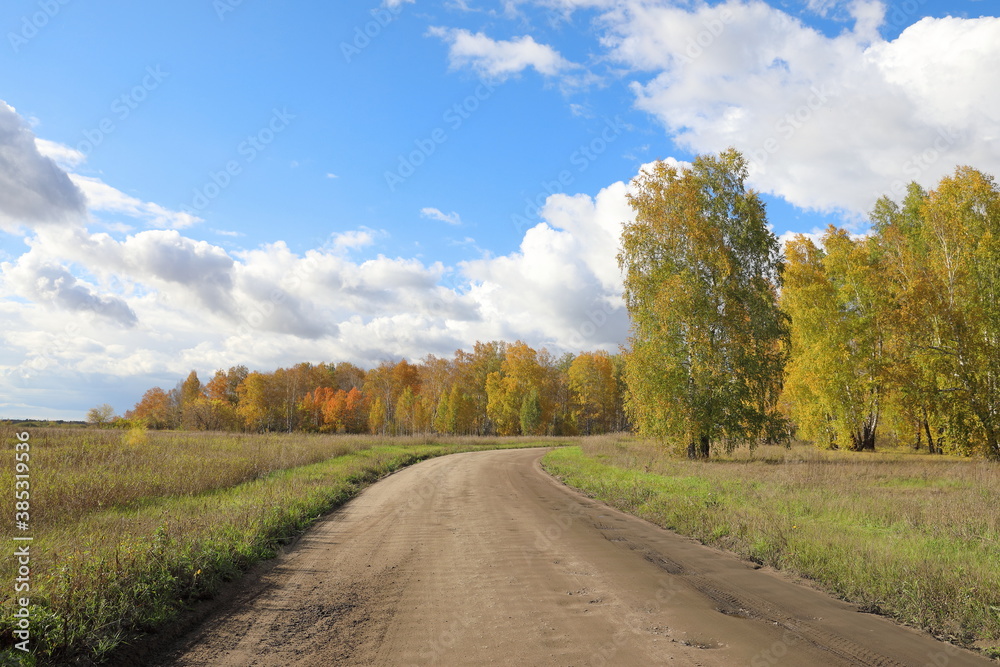 Autumn landscape with road and birch forest in Russia